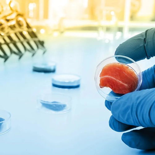 凯爱瑞发布2022全球风味图谱，帝斯曼成立新食品饮料事业部——有料Weekly技术交流