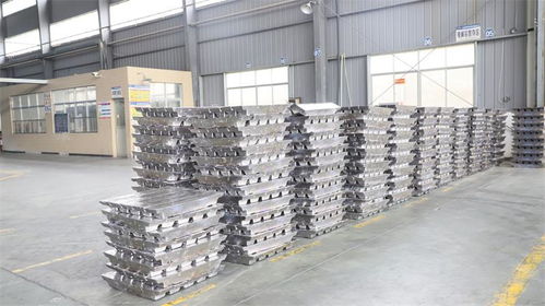 铅程万里行 第四站 江西禾田新能源科技 技术交流